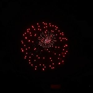 Meet your Posher, Billie